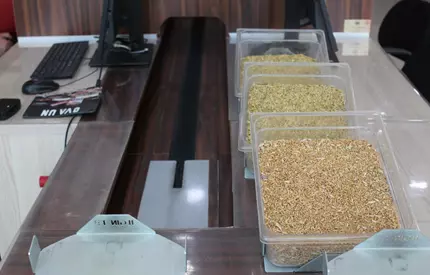 2023 İlk Mahsül Satışı