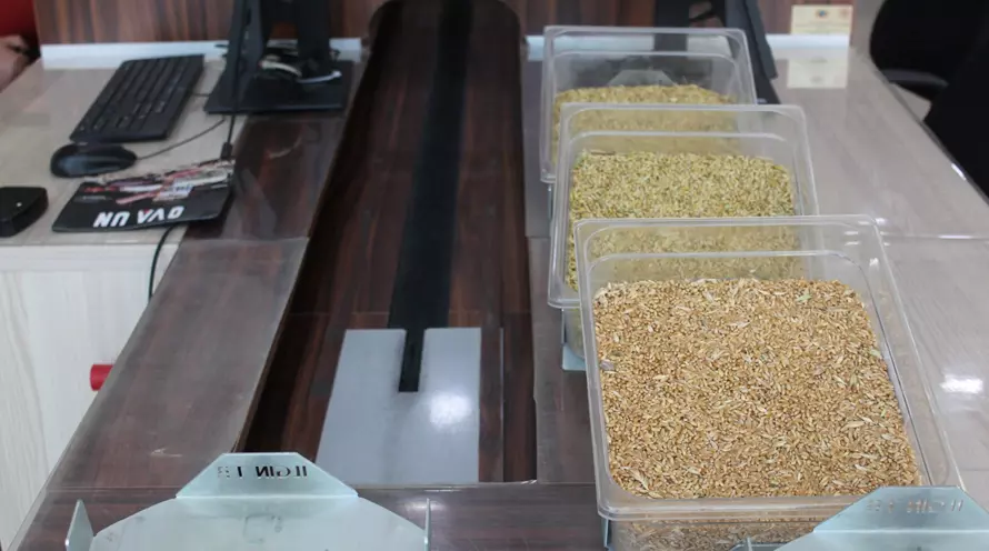 2023 İlk Mahsül Satışı