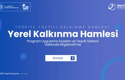 Yerel Kalkınma Kalkınma Hamlesi Teşvik Programı Yatırım Konuları Ve Ürünleri Tespit Çalışması
