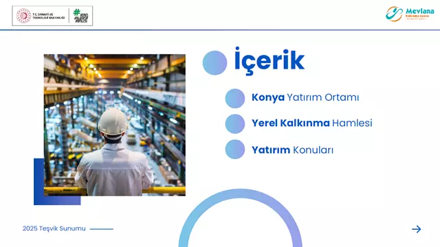 Yerel Kalkınma Kalkınma Hamlesi Teşvik Programı Yatırım Konuları Ve Ürünleri Tespit Çalışması-2