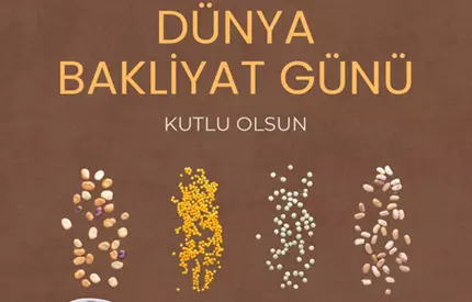 10 ŞUBAT DÜNYA BAKLİYAT GÜNÜ